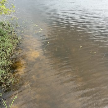 Chatham County Wetlands Preserve - Hiking Near Me - Savannah, Georgia
