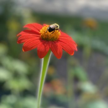 Wegerzyn Gardens Metroparks - Parks Near Me - Dayton, Ohio