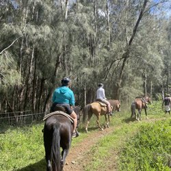 Waipi'o On Horseback