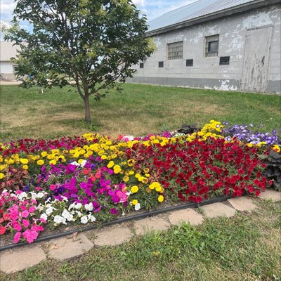 BIGSTONE農園 Big Stone Hutterite Colony, 75217 Big Stone Colony Rd W