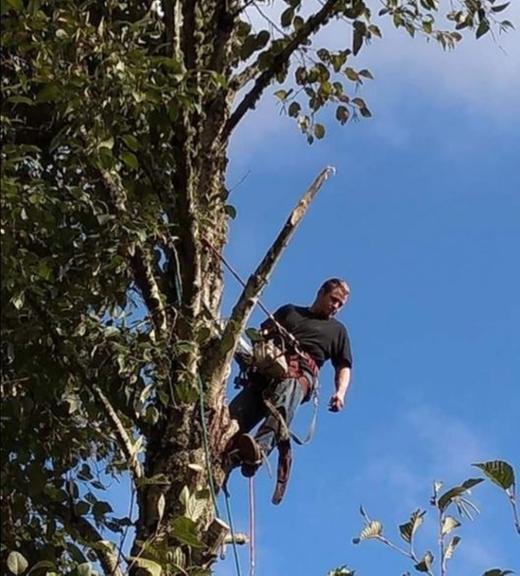 J & J Tree Care - tree service in Eugene, OR