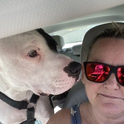 Derty Dog Canine Retreat & Fitness Club - Rascal
