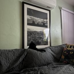 3 time split system that services the living room and 2 bedrooms