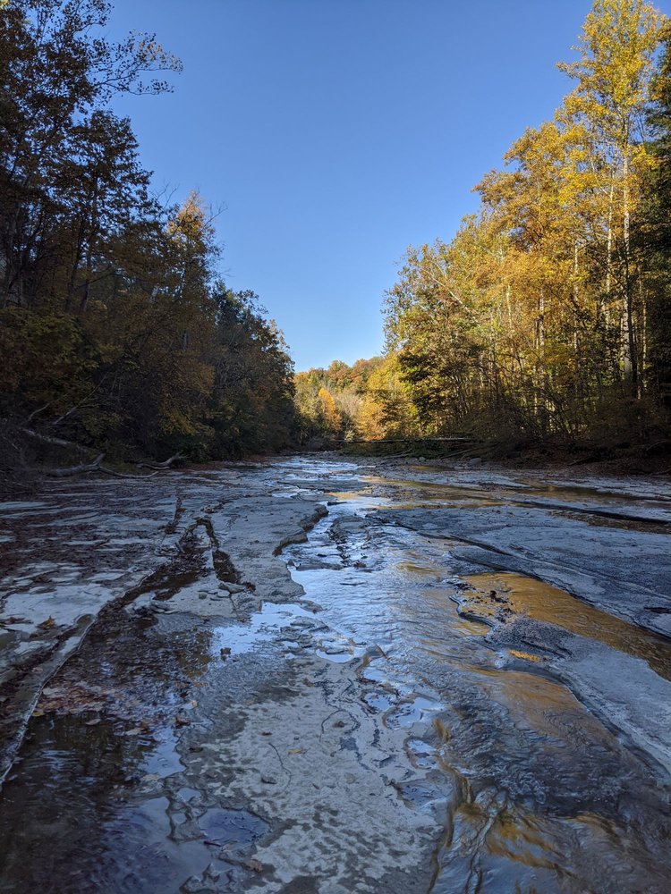 ZOAR VALLEY Updated August 2024 122 Photos & 22 Reviews