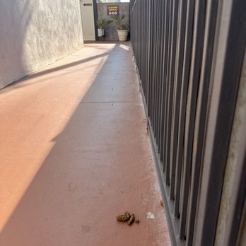 Oceanaire Townhomes - Dog owners don't pick up up after their dogs. - Apartments Near Me - Redondo Beach, California Oceanaire Townhomes - Dog owners don't pick up up after their dogs. - Apartments Near Me - Redondo Beach, California