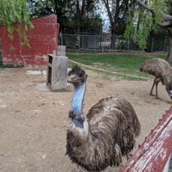 McKee's Feed Garden & Pet Centers