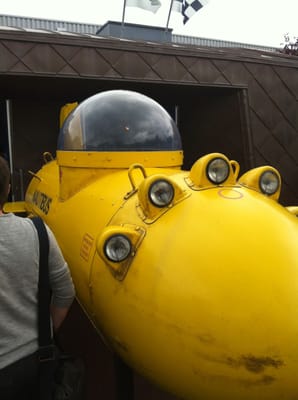 Grand Aquarium Saint Malo by null