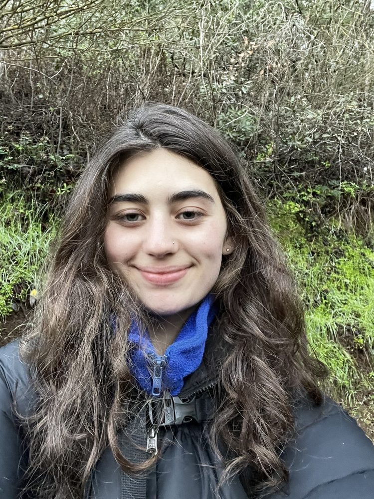 CURLS HAIR SALON Updated September 2024 249 Photos & 121 Reviews 350 Village Ln, Los Gatos