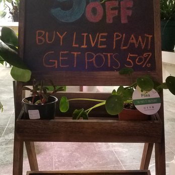 UPshining Houseplant Shop - Promotion as of December 2021 - Nurseries & Gardening Near Me - Schenectady, New York UPshining Houseplant Shop - Promotion as of December 2021 - Nurseries & Gardening Near Me - Schenectady, New York
