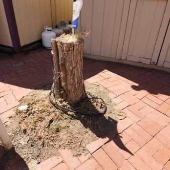 Eddy’z Landscaping - Before - Landscaping Near Me