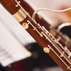 AWSOM - Woodwind instruments are fascinating! From the bassoon to the flute, to the clarinet and oboe - get in touch, we would love to help you!