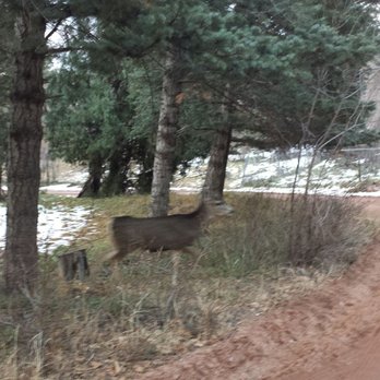 Keithley Pines Historic Cabins - Vacation Rentals Near Me - Manitou Springs, Colorado