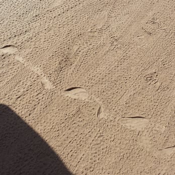 Mother Nature Walking Tours - Snake track - Walking Tours Near Me Mother Nature Walking Tours - Snake track - Walking Tours Near Me