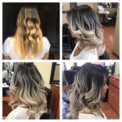 Precision 6 Haircutting