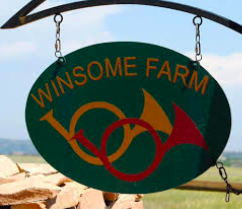 Winsome Farms - equestrian in Castle Rock, CO