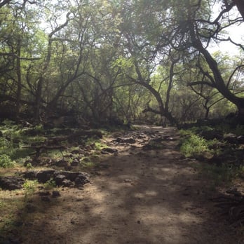 Lava Fields - Trail to the top - Hiking Near Me - Kihei, Hawaii