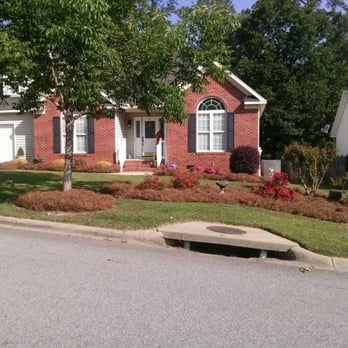 Blue Bird Lawn Service - Fresh pine straw - Landscaping Near Me Blue Bird Lawn Service - Fresh pine straw - Landscaping Near Me