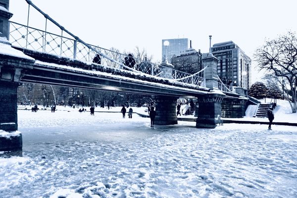 Public Garden by null