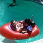 Photo of Penguin Pools