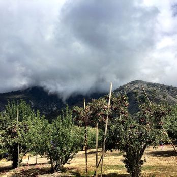 Riley's Apple Farm - Pick Your Own Farms Near Me - Yucaipa, California Riley's Apple Farm - Pick Your Own Farms Near Me - Yucaipa, California