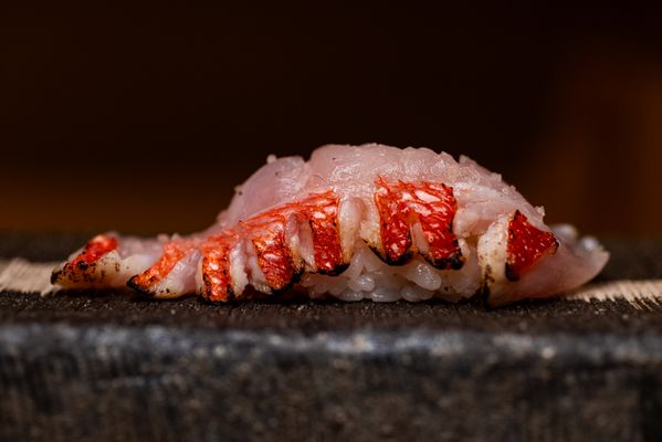 Sushi Gaga by null
