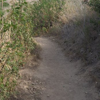 Zuma Canyon Trail - Horseback Riding Near Me