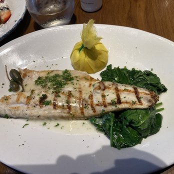 Balos Estiatorio - Brazino - Seafood Near Me - Washington, DC, District of Columbia Balos Estiatorio - Brazino - Seafood Near Me - Washington, DC, District of Columbia