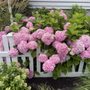 Photo of Stone Harbor Borough of