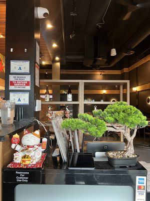 The Cove Sushi & Oyster Bar by null