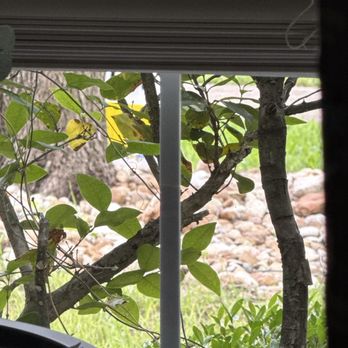Spartan Cleaning Solutions - Windows are clean again! - Window Washing Near Me
