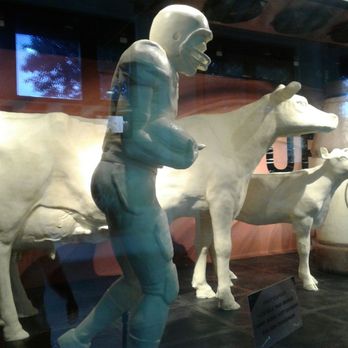 Ohio State Fair - Butter cow and friends... - Festivals Near Me - Columbus, Ohio