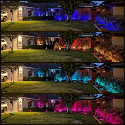 Eternal Light Electric