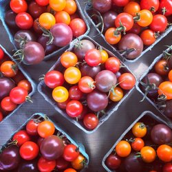 Groundwork Market Garden - Photo from Groundwork Market Garden's website. https://www.groundworkmg.com/