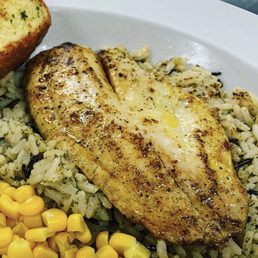 Tilapia