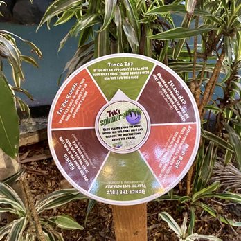 Tropics Mini Golf - Games to add challenges to your games - Mini Golf Near Me - Aiea, Hawaii