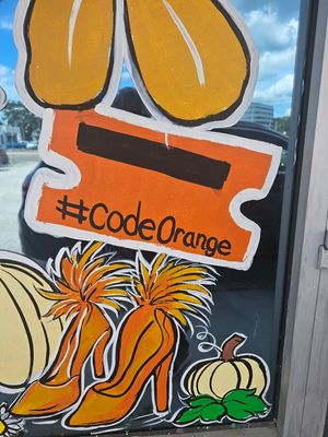 Best Places to Buy Plants Tampa Florida: Top Local Nurseries Revealed