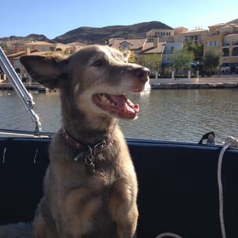 Lake Las Vegas Marina - Pet friendly boats! - Landmarks & Historical Buildings Near Me - Henderson, Nevada Lake Las Vegas Marina - Pet friendly boats! - Landmarks & Historical Buildings Near Me - Henderson, Nevada
