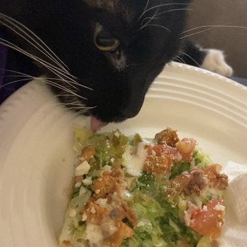 Pappi's Pizza - Even the cat enjoys the Buffalo pizzalad! Lol.  Buffalo Chicken Pizz'alad - Pizza Near Me - Glenview, Illinois