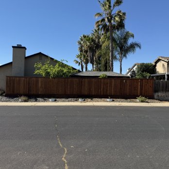 The Tree Boss - After - Tree Services Near Me - Yuba City, California The Tree Boss - After - Tree Services Near Me - Yuba City, California