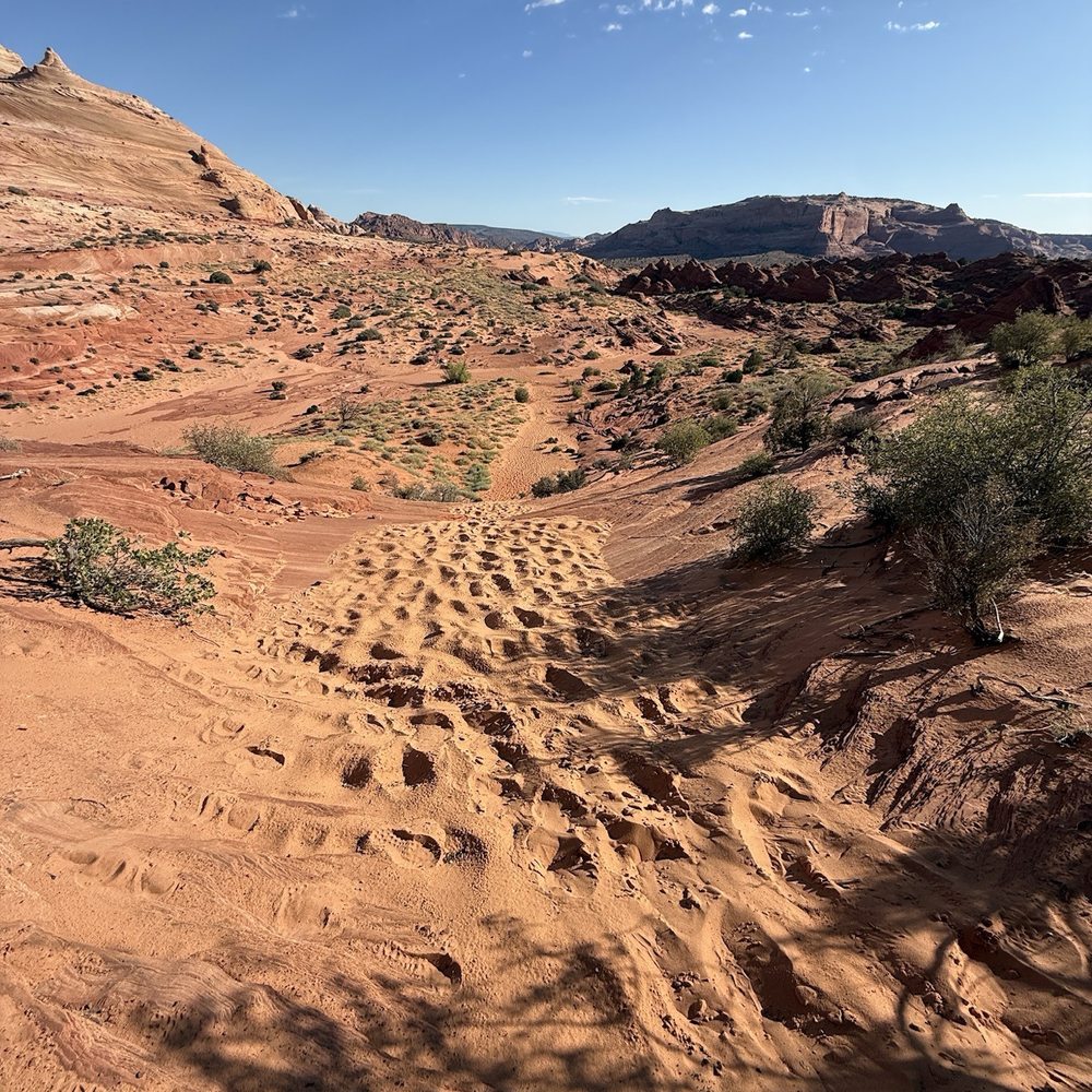 The Wave - look back - Landmarks & Historical Buildings Near Me - Kanab, Utah The Wave - look back - Landmarks & Historical Buildings Near Me - Kanab, Utah