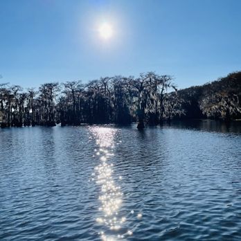 Captain Ron's Swamp Tours - Caddo Lake - Boat Tours Near Me Captain Ron's Swamp Tours - Caddo Lake - Boat Tours Near Me