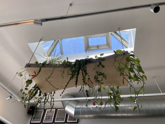 Bread by Bike by null