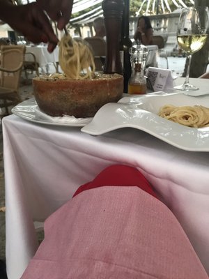 Terra di Vino by null