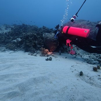 Aquatic Life Divers - Scuba Diving Near Me - Kailua-kona, Hawaii Aquatic Life Divers - Scuba Diving Near Me - Kailua-kona, Hawaii