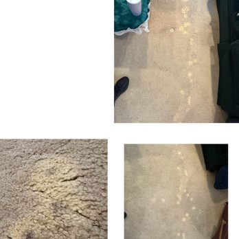 Langenwalter Carpet Dyeing - Carpet Cleaning Near Me - Anaheim, California Langenwalter Carpet Dyeing - Carpet Cleaning Near Me - Anaheim, California