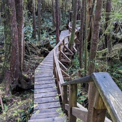 Rainforest  Trail A & B