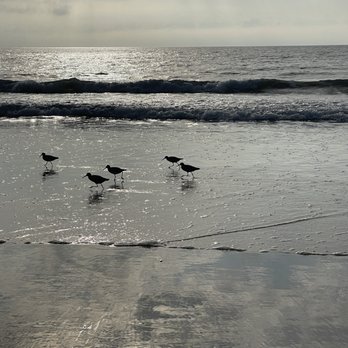 Torrey Pines State Reserve - Parks Near Me - La Jolla, California