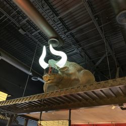 Chubby Cattle Shabu