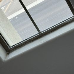 Fox Property Management - Piles of Cobb webs
