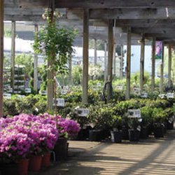 Petitti Garden Centers